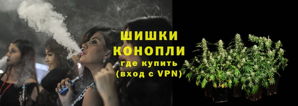 PSILOCYBIN Дмитриев